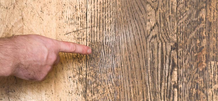 Wood Door Scratch Repair in Daytona Beach